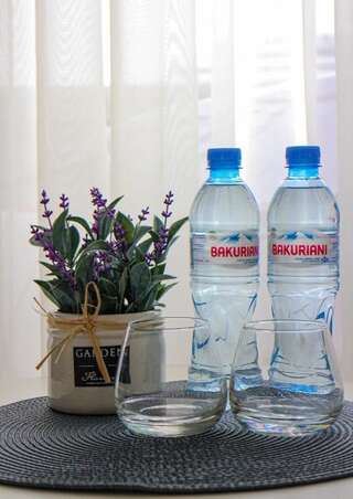 Апарт-отели Orbi City Batumi - Cozy Apts - Beach View & Balcony Батуми Номер-студио с кроватью размера "king-size" и диван-кроватью-47